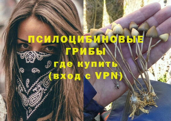 mdpv Покровск