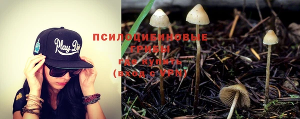 скорость Богданович