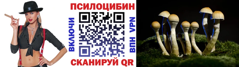 Псилоцибиновые грибы Psilocybine cubensis  Белоярский 